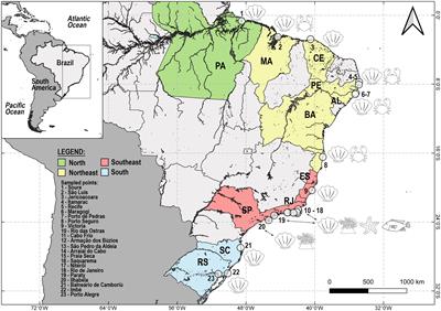 Marine wildlife in Brazilian zoohandicrafts: assessing the expansion of an uncontrolled trade